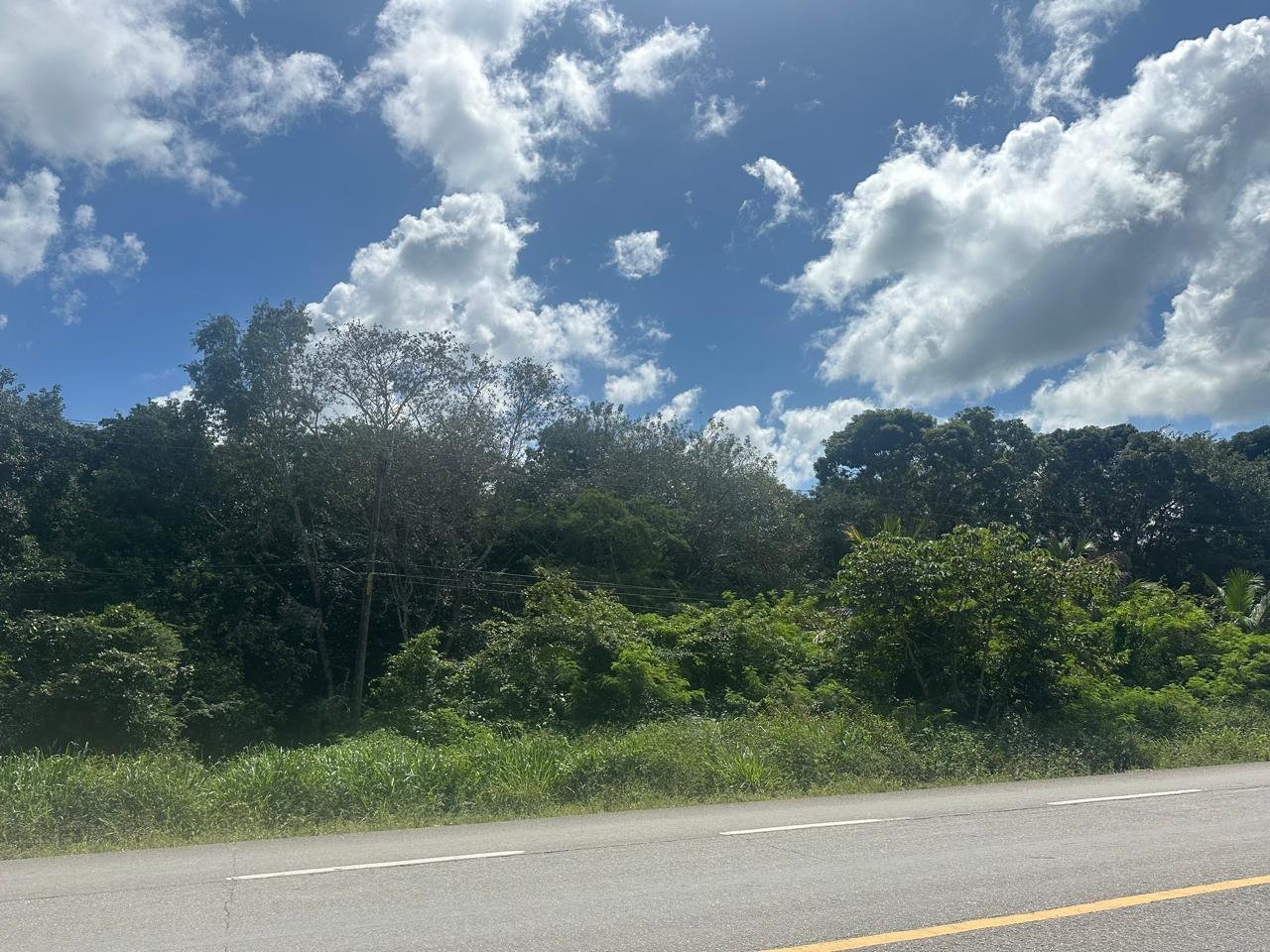 3 LOTES CONECTADOS EN VENTA EN BACALAR (SOBRE LA CARRETERA FEDERAL)