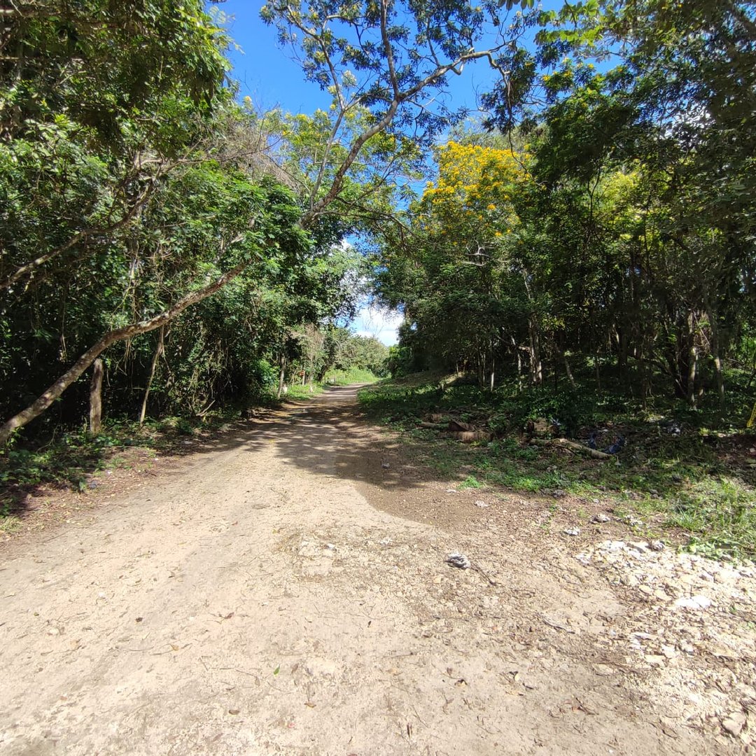 Terreno junto a la estacion del tren maya en Bacalar